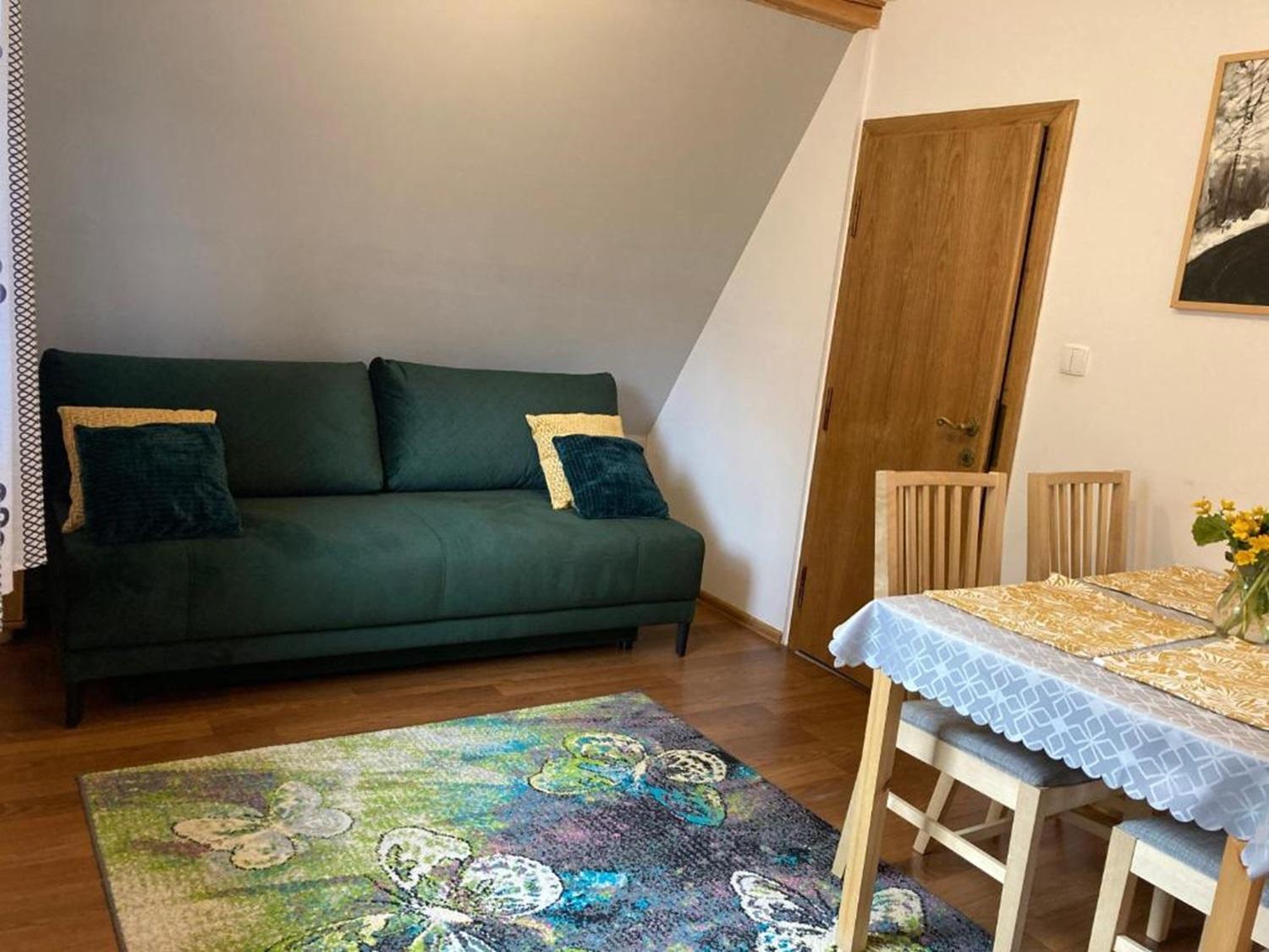 Domki I Apartamenty Na Wyskowkach Jacuzzi & Sauna Закопане Екстериор снимка